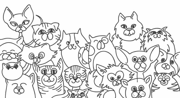 siberische kat youtube