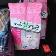 Waarom is klontergrit beter voor Siberen kattenbakgrit