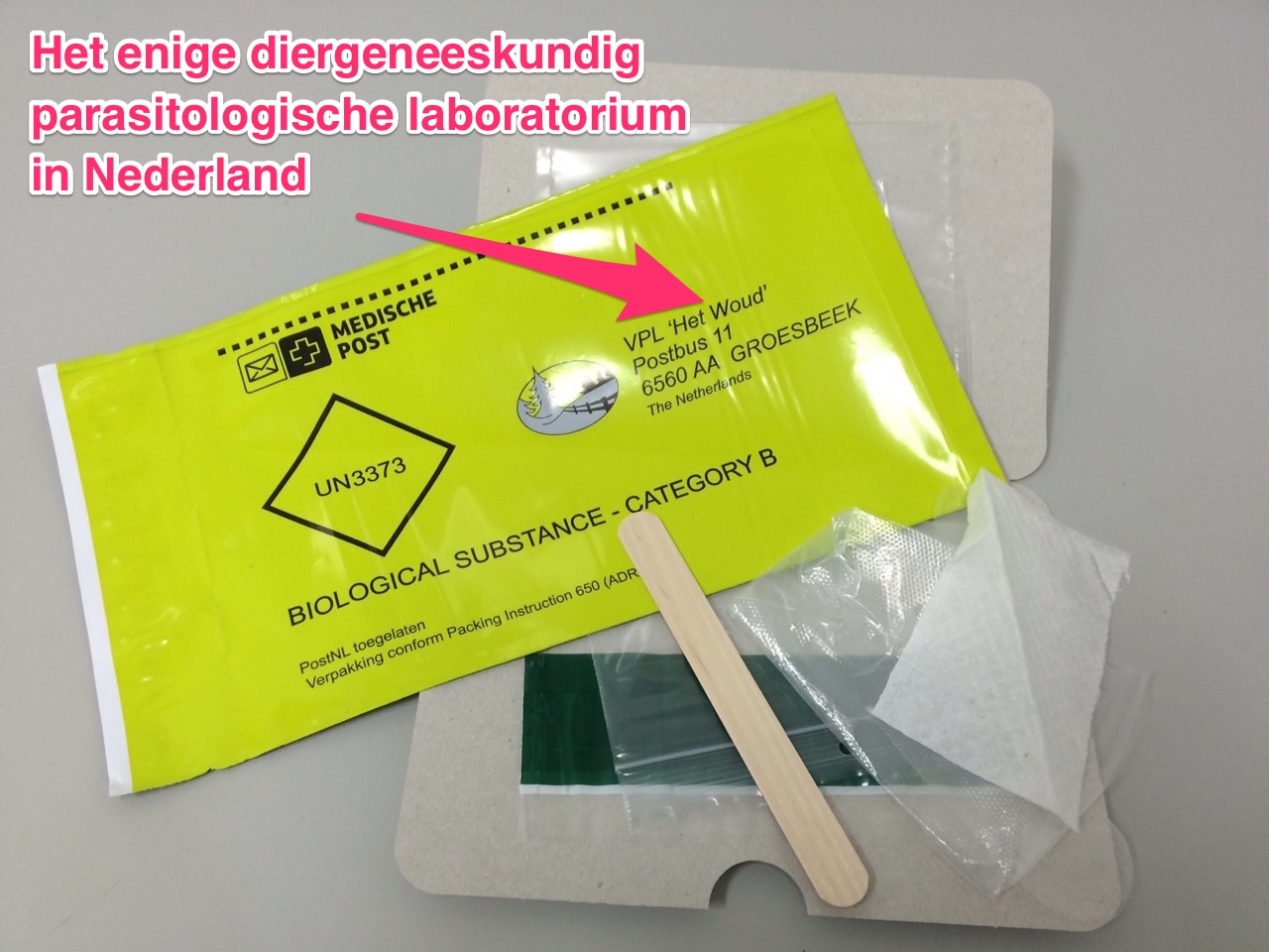 Ontlasting onderzoek katten