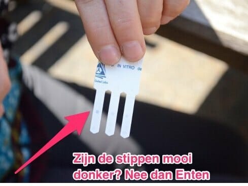Titeren kat