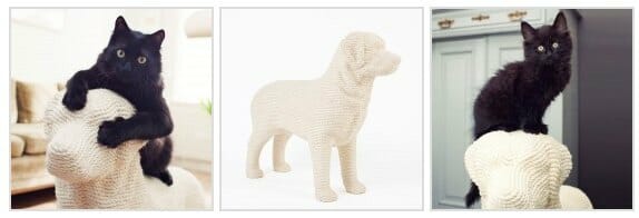 Krabpaal design hond